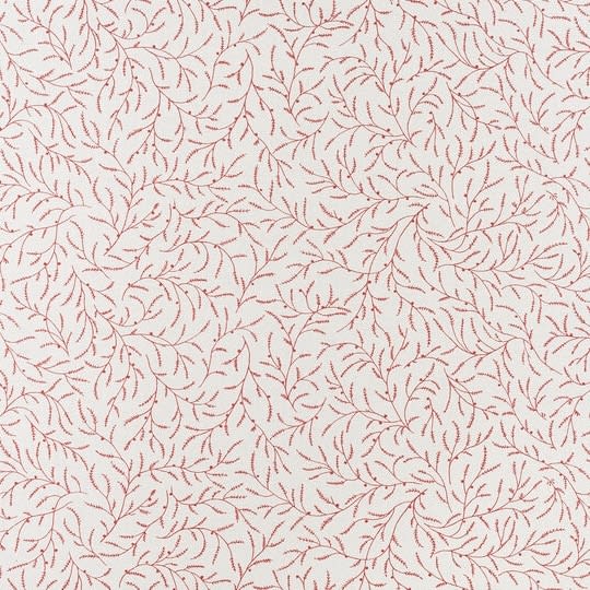 Little Mimosa Dark Red On Oyster Lining