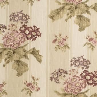 Auricula Coffee Stripe