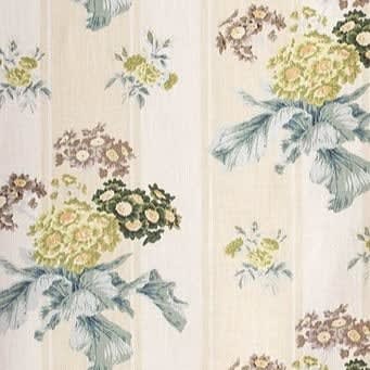 Auricula Cream Stripe