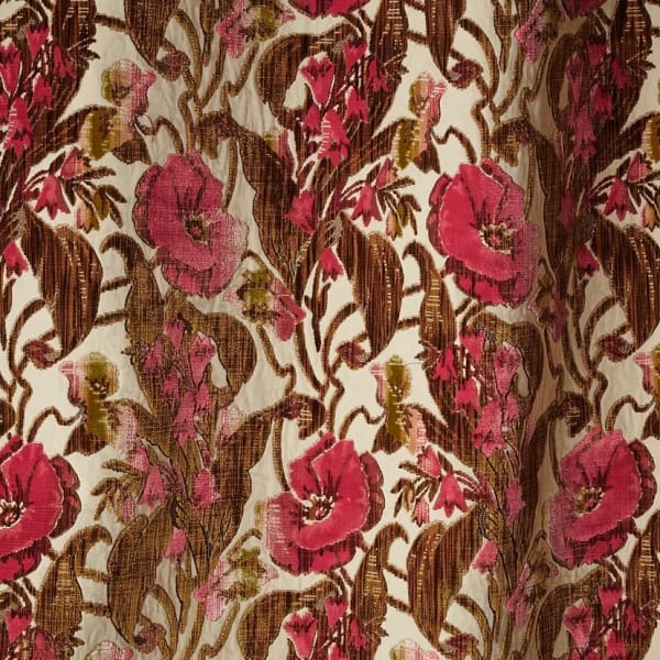 Campanula Truffle Rose