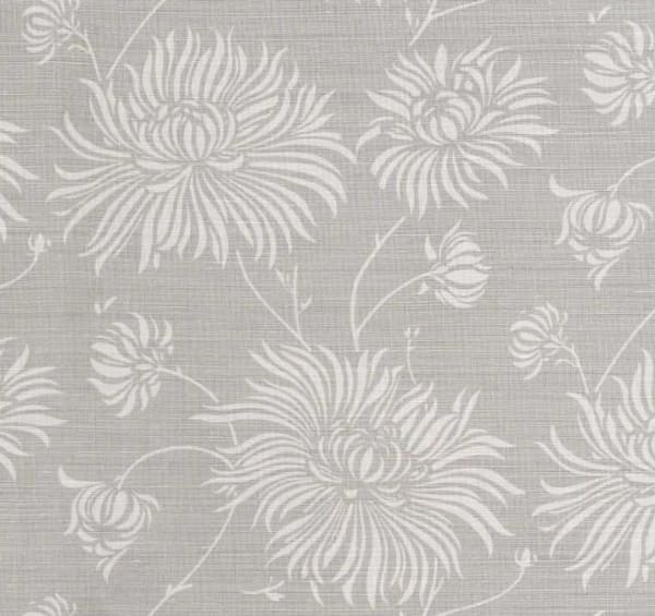 Chrysanthemum Dark Blue On Oyster