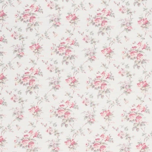 Hibiscus Faded On Oyster