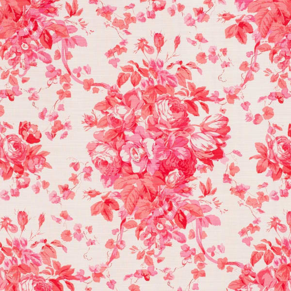 Roses Shocking Pink On Oyster