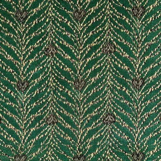 Peafowl Parakeet Amazon