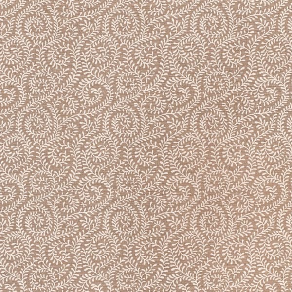 Reverse Little Kasumi Donkey On Oyster