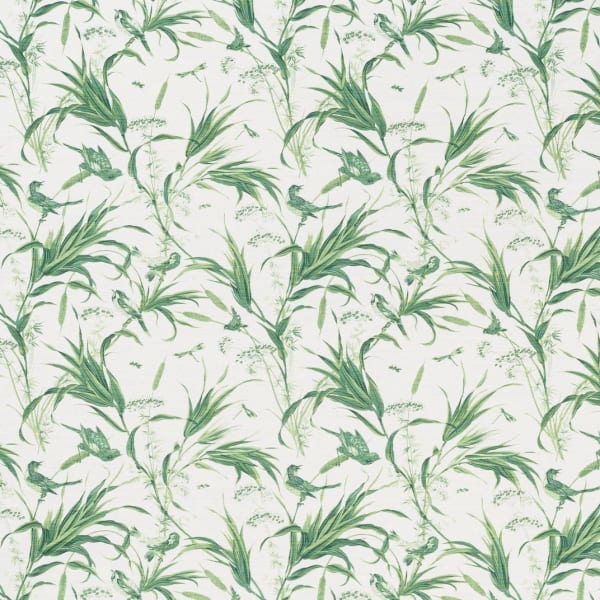 Siskin Greens On Oyster