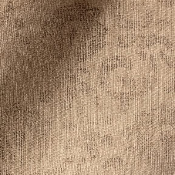 Arabesque Fossil Stone