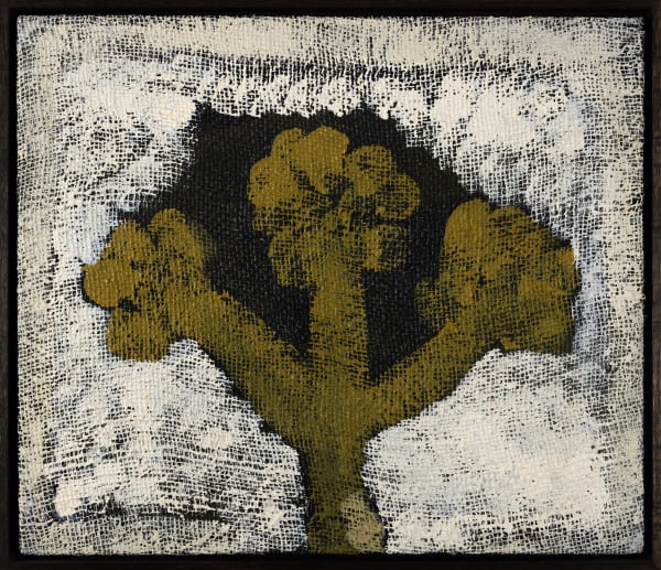 Lottie Consalvo, Silent flowers, 2025