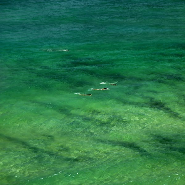 Cathy Carter, Oceanids Kaitiaki