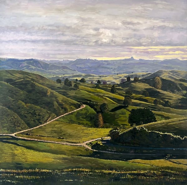 Matt Palmer, Te Kuiti Looking West