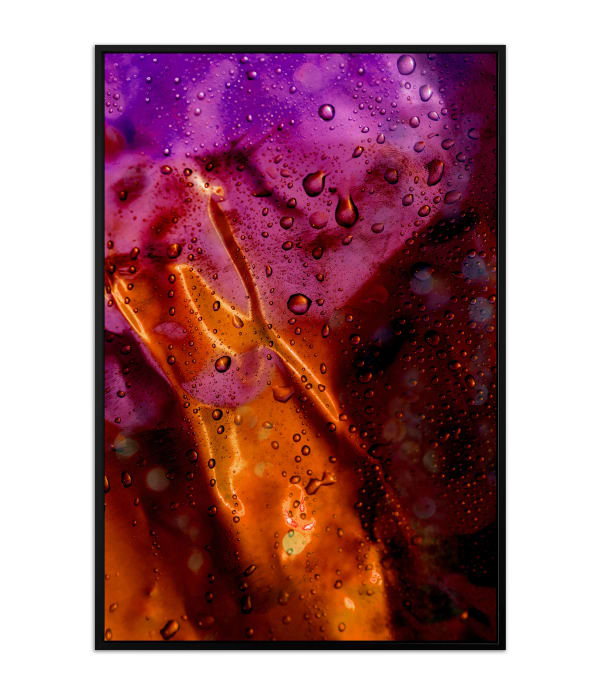 Cathy Carter, Mellifluous Aurora