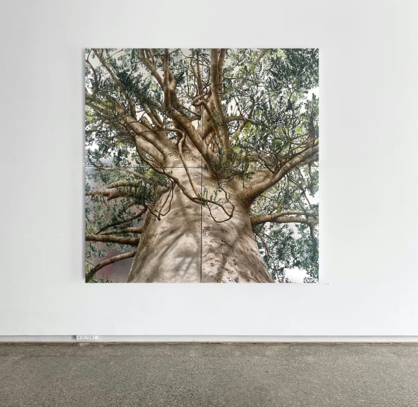 Neal Palmer, Holding Light, 2022