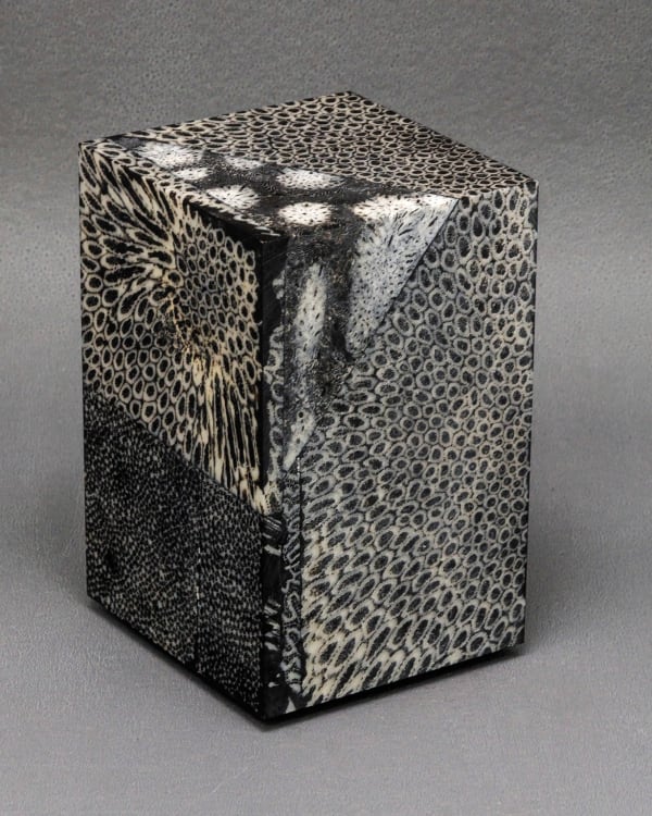 Chauncey Flay, Seawall 12, 2025