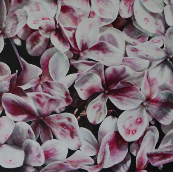 Neal Palmer, Flower Within (Hydrangea), 2023