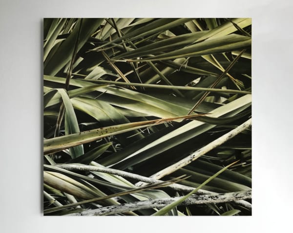 Neal Palmer, Harekeke, 2022