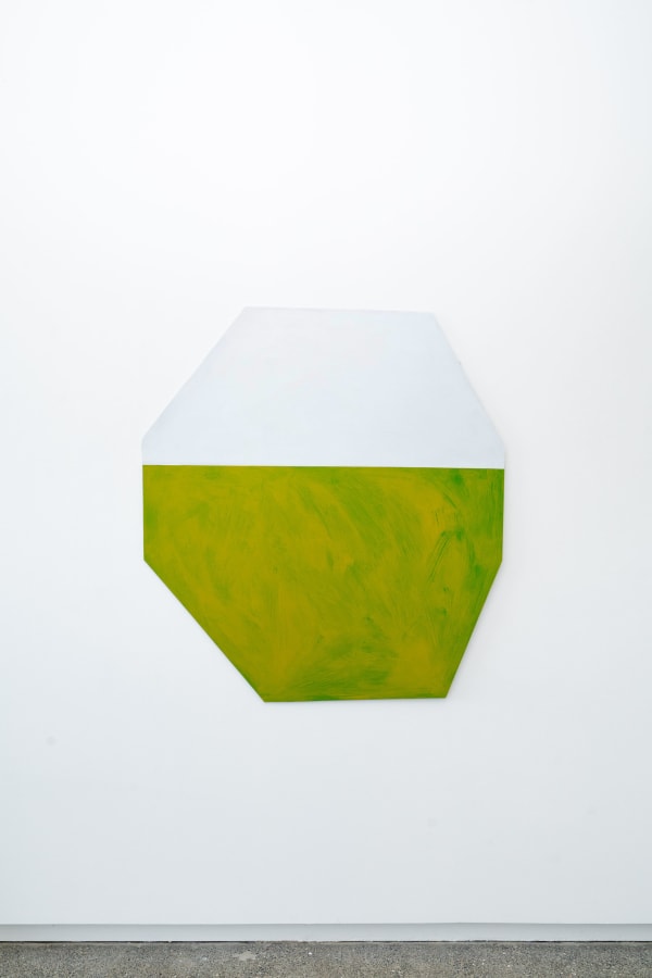 Richard van der Aa, David’s Lawn