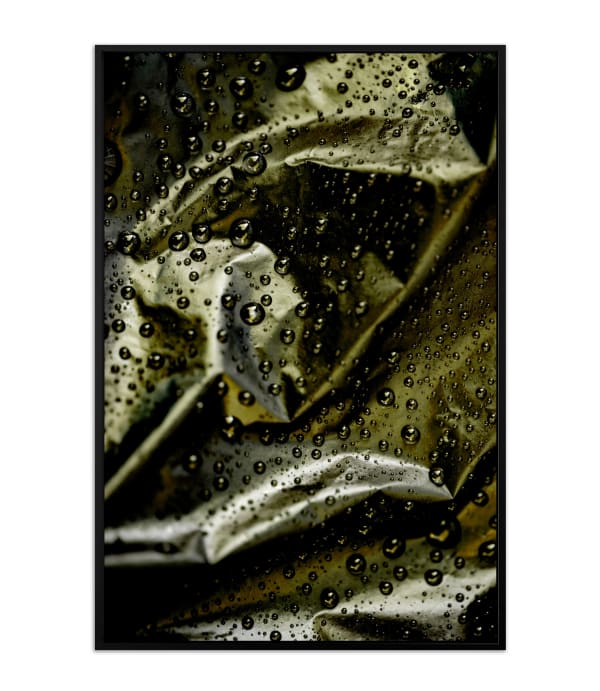 Cathy Carter, Lucent Semillion (L), 2022