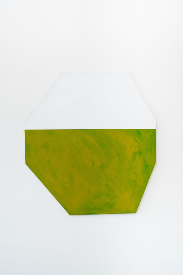 Richard van der Aa, David’s Lawn, Acrylic on aluminium panel, 1000 x 1100mm