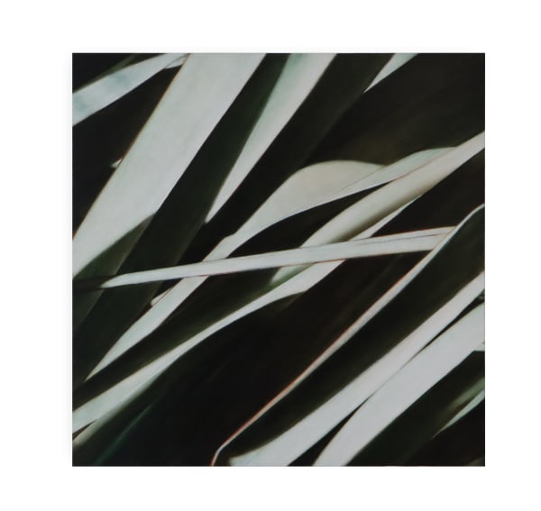 Neal Palmer, Lightform, 2024