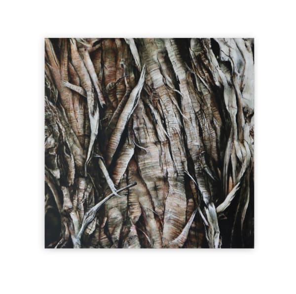 Neal Palmer, Under the Skin ( Totara), 2023