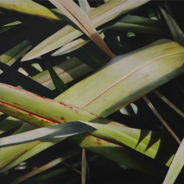 Neal Palmer, Composition 4, 2025