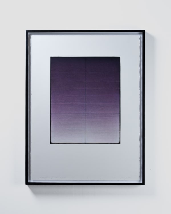 Michael Dell, Butterfly Gradient 5, 2025