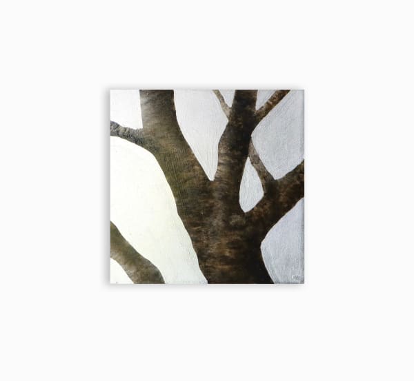 Neal Palmer, Under the Surface I