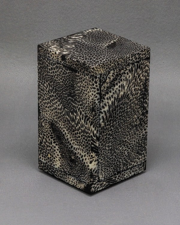 Chauncey Flay, Seawall 32, 2025