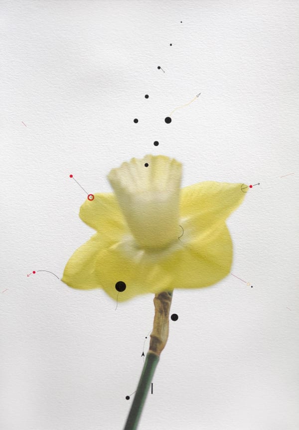 Shen Wei, Untitled, 2022