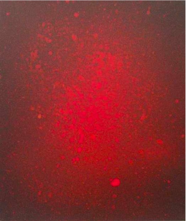 Ha Haengeun, When I was in my Mother's Womb, 2025