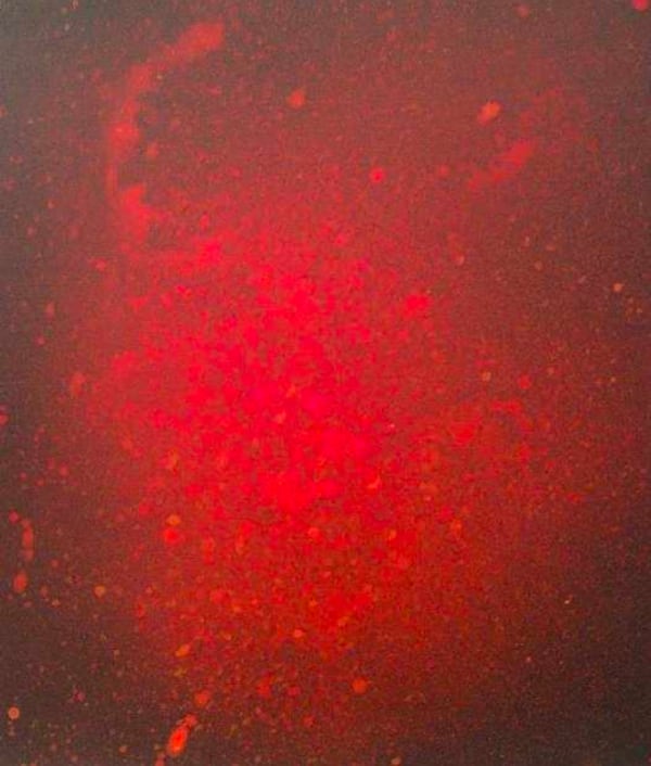 Ha Haengeun, When I was in my Mother's Womb, 2025