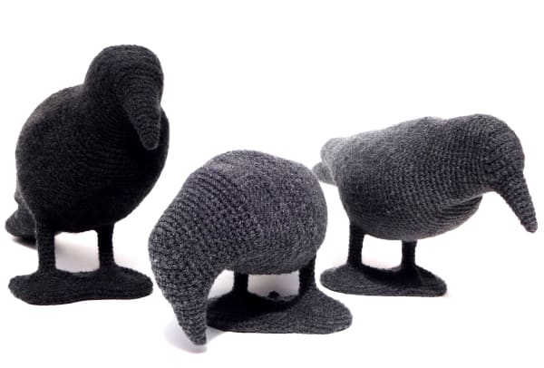 Barbara Bernsteiner, Krähen