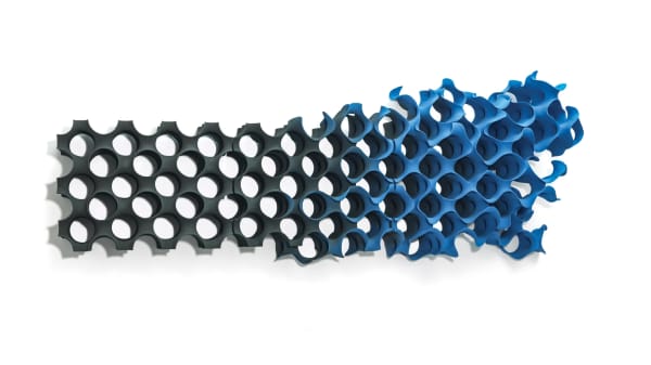 Merete Rasmussen, Morphogenesis