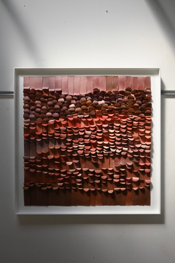 Jeanne Opgenhaffen, Echoes of Red, 2025
