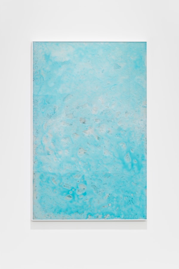 Karlos Gil, Second Skin (Honey Cake), 2020