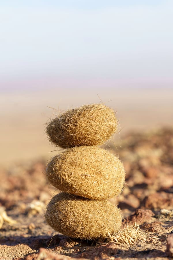 Adrien Missika - Objets dépaysés (series) Three Neptun Balls