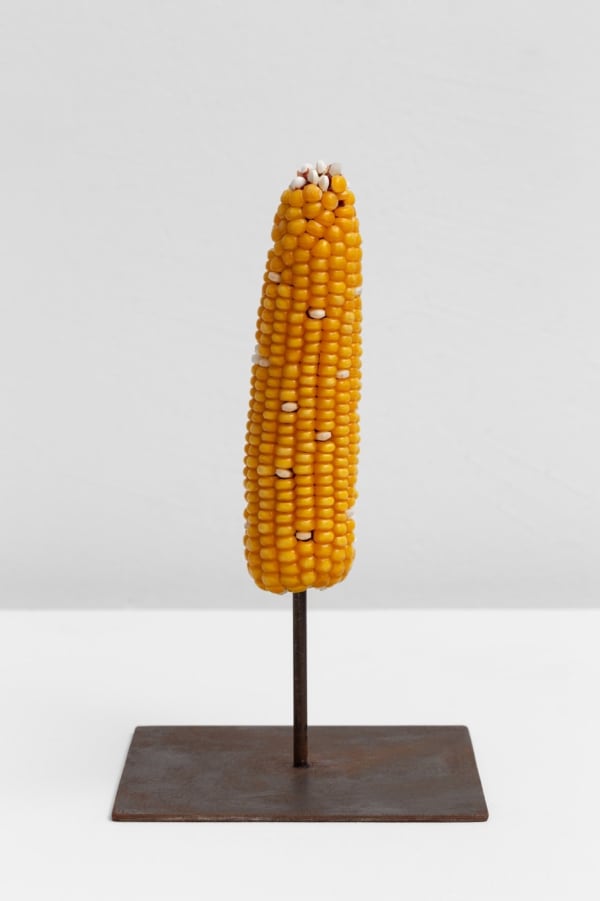 João Motta Guedes, Untitled (Therapy I), 2021