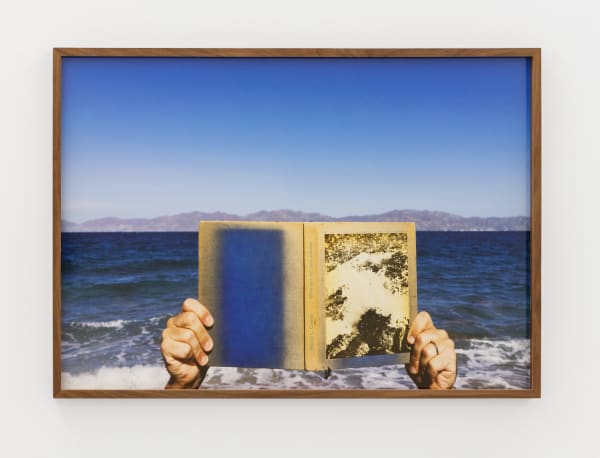 Adrien Missika, The Sea of Carson, 2019