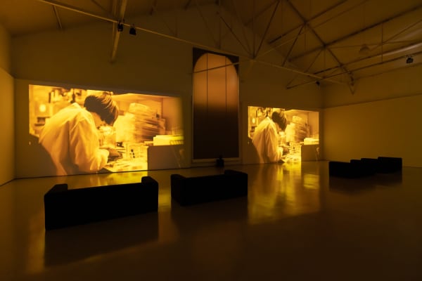 Diogo Evangelista - Gliese 581 g