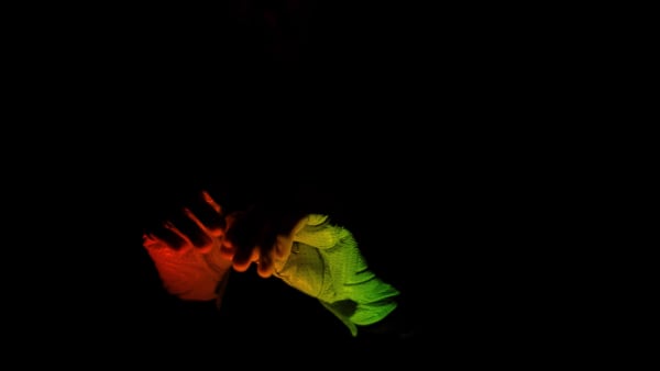 Diogo Evangelista, Magic Hands, 2017