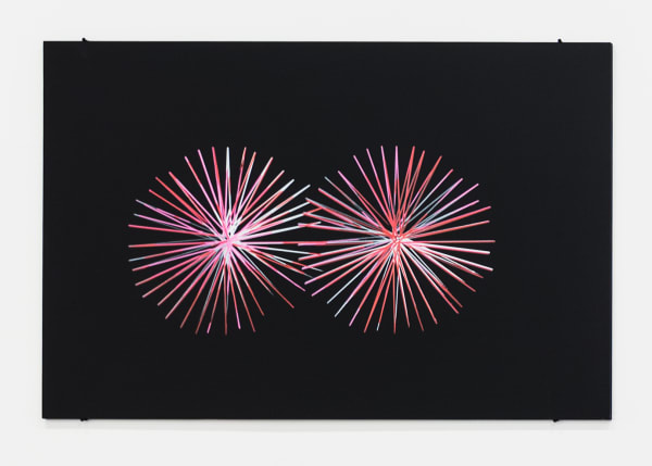 Diogo Evangelista - Spiritual Automata