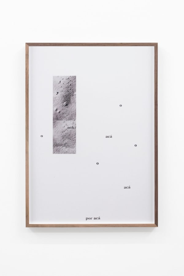 Adrien Missika, Camino por desierto (Por acá o acá o acá y acá), 2018