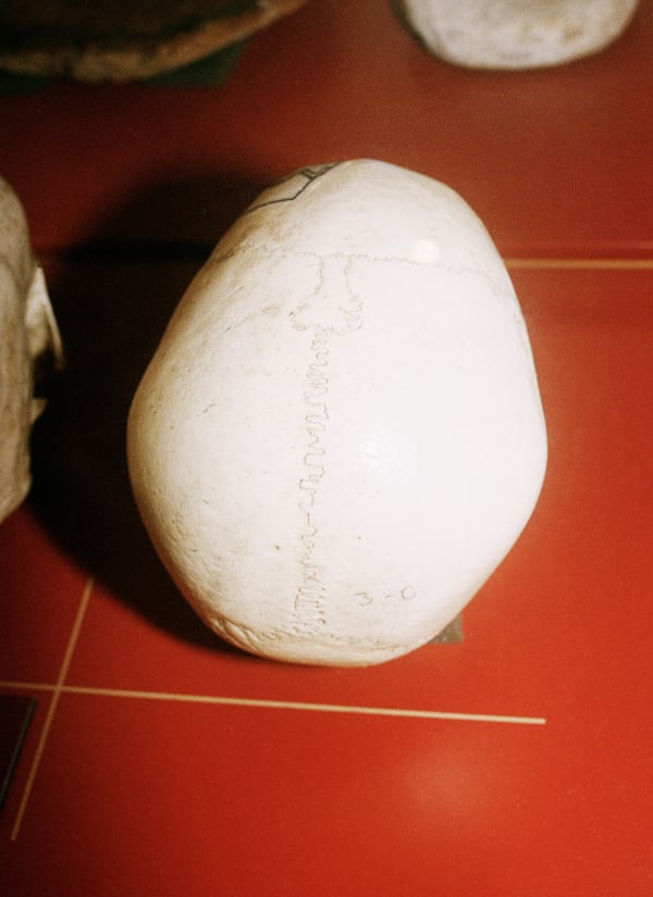 Daniela Ângelo, Inv. 78, 2021