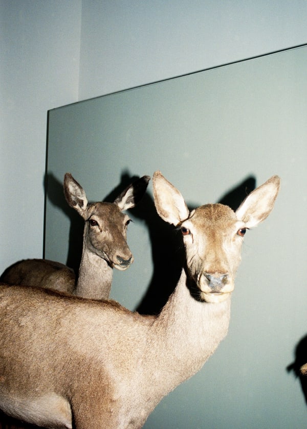 Daniela Ângelo - Inv. 54