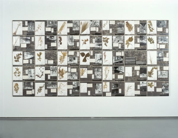 João Penalva - Addressing the weeds in Hiroshima