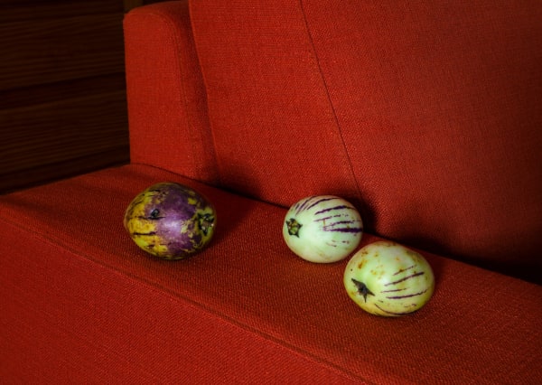 José Pedro Cortes, Pera Melon, 2022