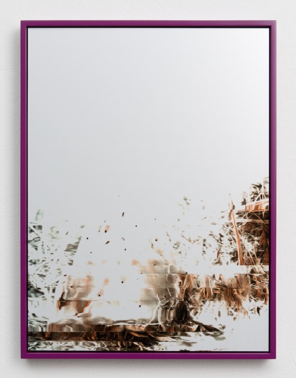 Adrien Missika, Cactus Frottage B, 2012