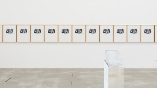Nuno Ramos - Opening – City Lights