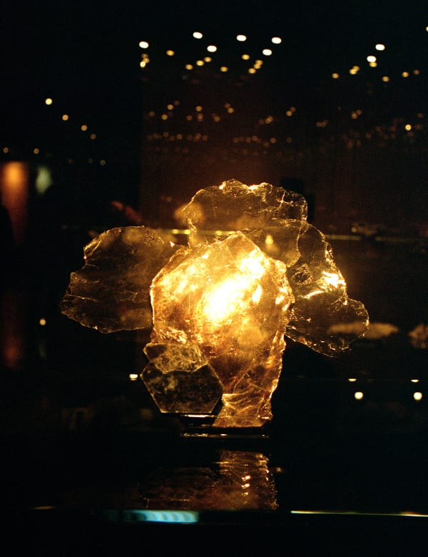 Daniela Ângelo - Halo