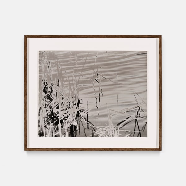 João Penalva - Reeds (II)